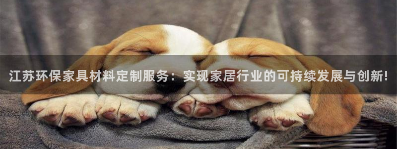 杏宇测速注册：江苏环保家具材料定制服务：实现家居行业的可持续