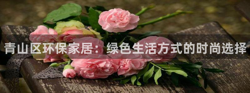 杏宇登陆网站：青山区环保家居：绿色生活方式的时尚选择