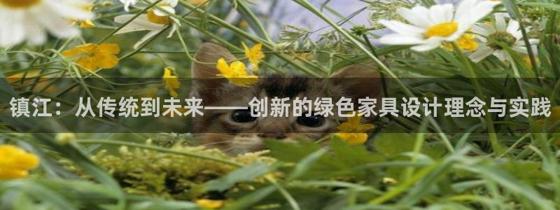 杏宇管网登录：镇江：从传统到未来——创新的绿色家具设计理念与