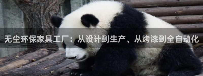 杏宇平台登录入口：无尘环保家具工厂：从设计到生产、从烤漆到全