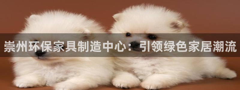 杏宇登陆网站：崇州环保家具制造中心：引领绿色家居潮流