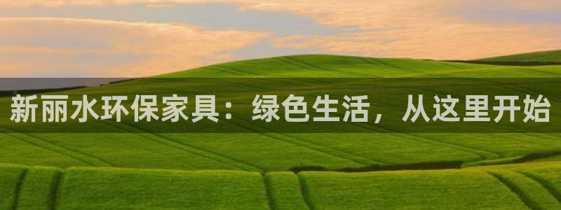 杏宇官方测速：新丽水环保家具：绿色生活，从这里开始