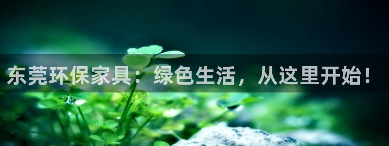 杏宇平台客服：东莞环保家具：绿色生活，从这里开始！