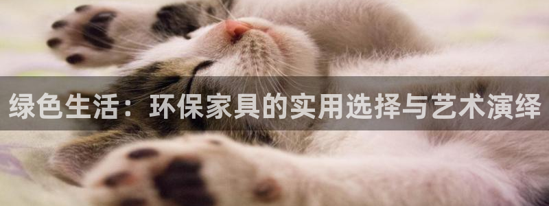 杏宇平台代理：绿色生活：环保家具的实用选择与艺术演绎