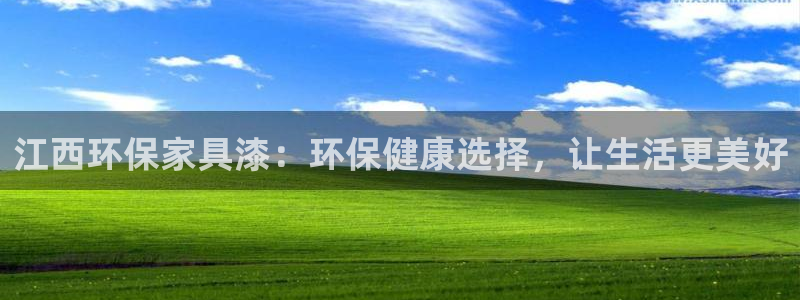 杏宇代理连接