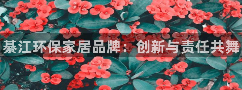 杏宇软件