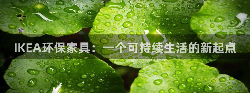 杏宇平台专用通道