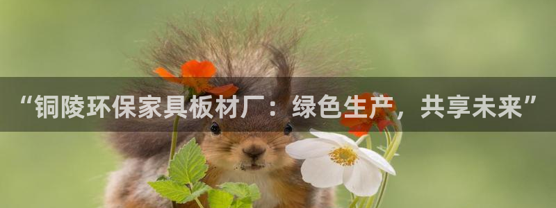 杏宇代理日工资多少