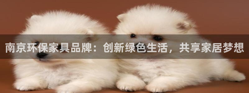 杏宇平台服务中心是干嘛的：南京环保家具品牌：创新绿色生活，共